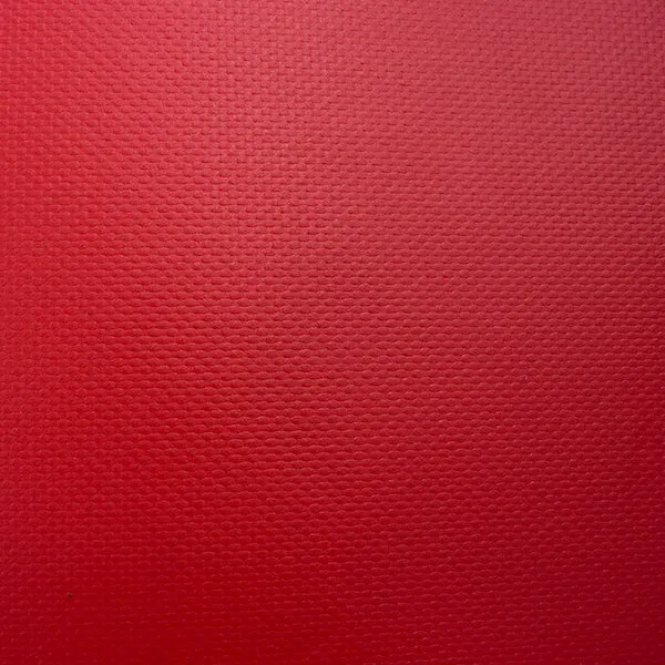 12'x16' Heavy Duty 10 oz Vinyl Tarp